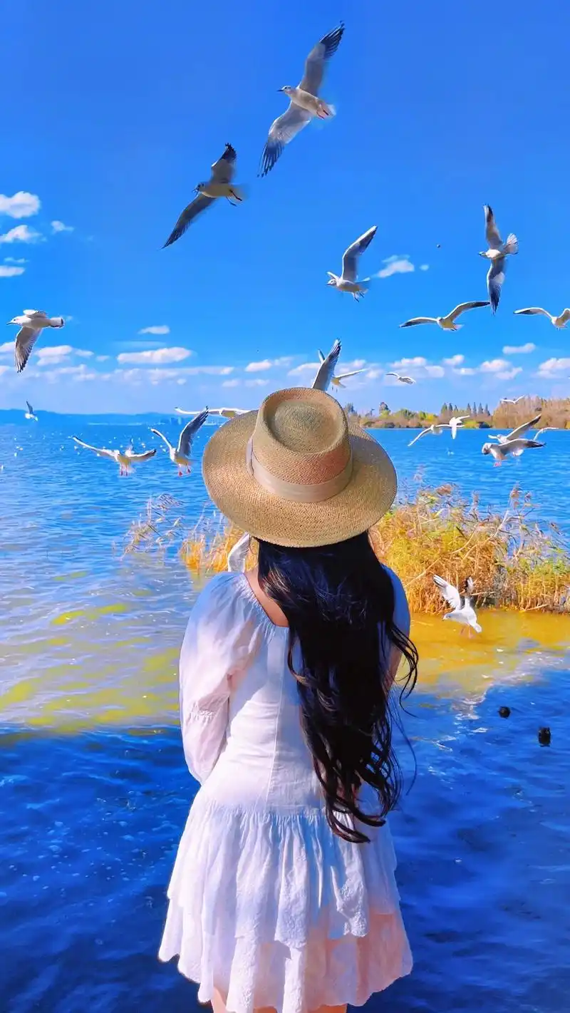 捞鱼河|昆明看海鸥小众宝藏地,人少6015.