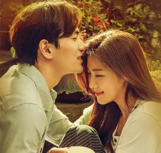 《动什么别动感情》《他们生活的世界》《爱你的时间》短剧评_电视剧