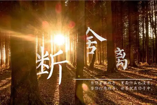 跳蚤市场不只是闲置物交易 更像是一场告别仪式 告别旧物 把过去的