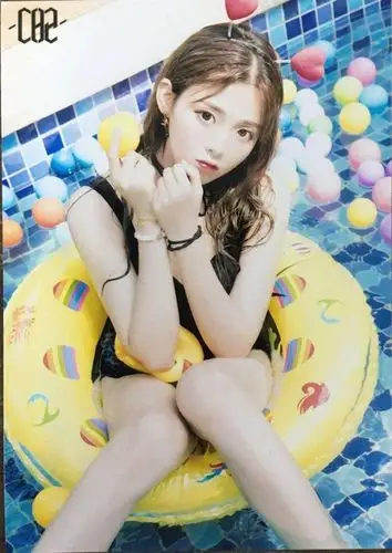 当红女明星的泳装照大盘点