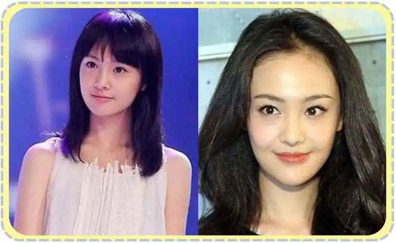 关于大郑爽与小郑爽的配图及描述