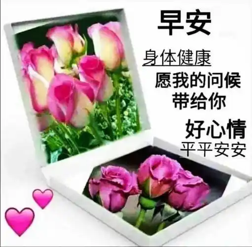 第一缕清风把你亲吻;你起的比鸟儿早,第一声鸟鸣向你问好:亲爱的,早安