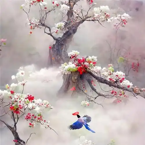 傲雪寒梅头像高清图片 唯美适合做微信头像的梅花_微信头像_头像屋