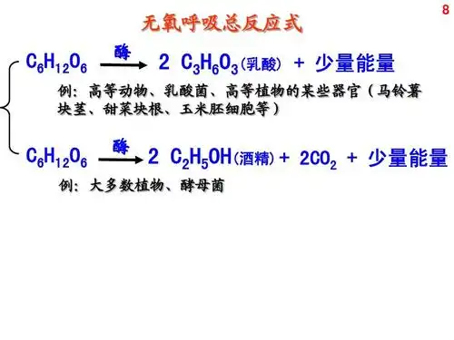无氧呼吸总反应式   c6h12o6 酶   c3h6o3(乳酸)   少量能量 例:高等