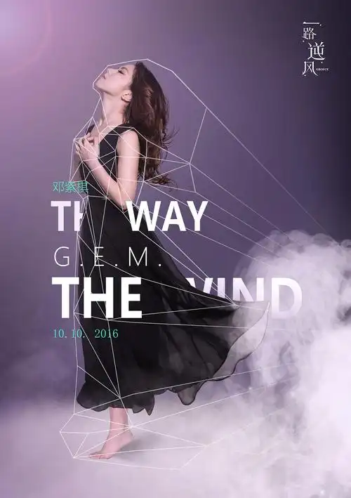 邓紫棋"一路逆风"演唱会海报提案