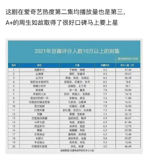 2021电视剧十大之最