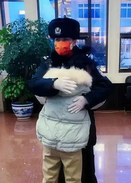 读懂警花的美|警营_网易订阅