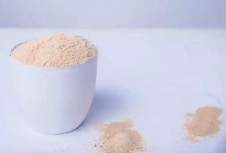 (有机硒)富硒食用菌粉400微克