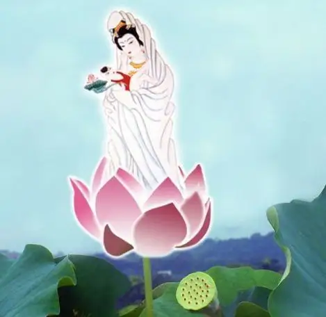 我是佛下的一朵莲