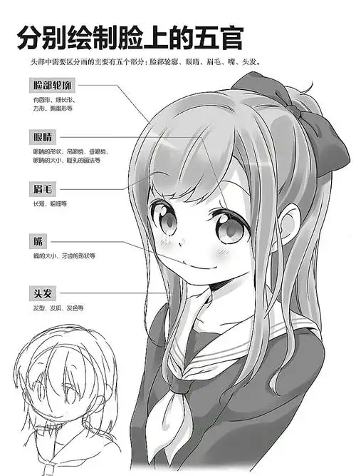 视频版4张图片脸部轮廓的画法