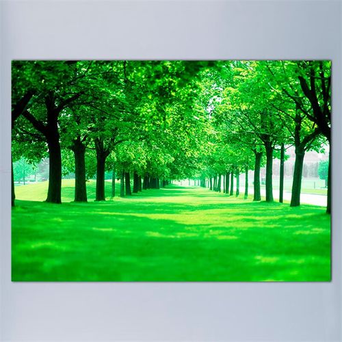 萌念树林风景装饰挂画背景墙贴纸绿色图卧室客厅图绿树木森林的 背胶