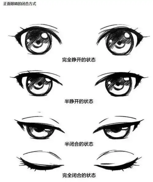 手绘基础动漫人物各种类型眼睛的画法