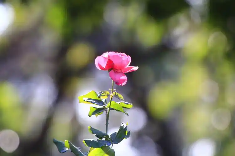 2021一全新出发(原创首发)