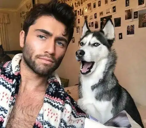 主人说他家狗的日常表情丰富又到位可我全程都在看主人