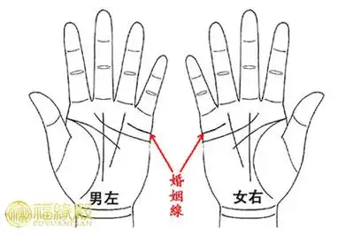 听姥姥说:看你手上"婚姻线",就知你一生的爱情和婚姻?