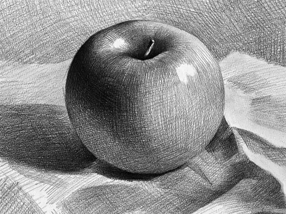 成人零基础素描入门班 - 成人绘画培训 - 免费试听_预约式上课-立楷