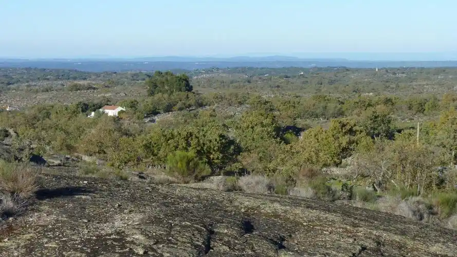 we were looking for   menhir (standing ston