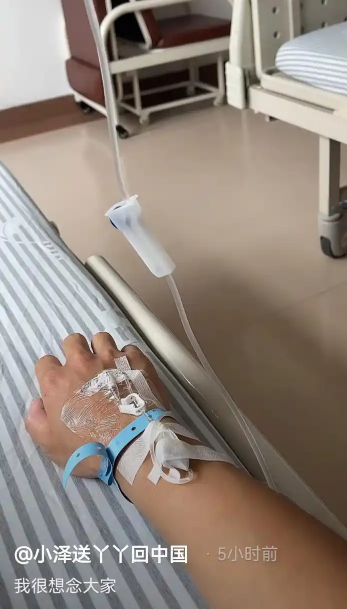 守护丫丫的小泽回国了,在医院住院打点滴,他很想念大家,祝小泽早日