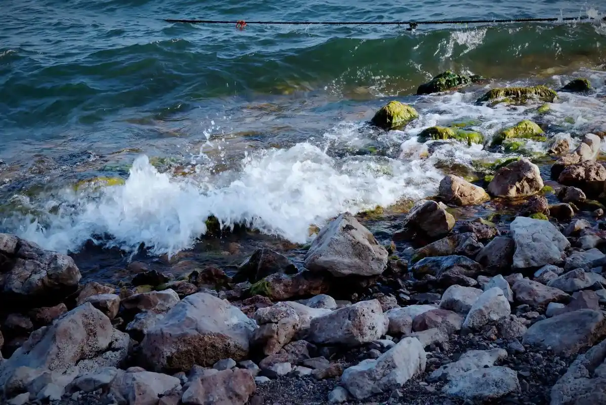 看过浪花你就爱会上浪花 看过大海你眼里就会有汪洋 身体能到达 - 抖