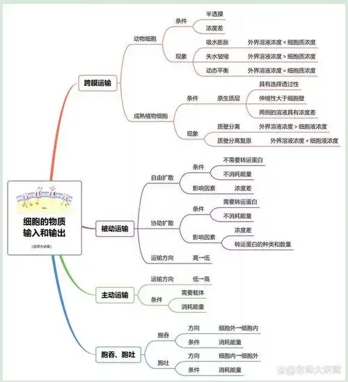 高一生物细胞的物质输入输出高考重点思维导图梳理可打印