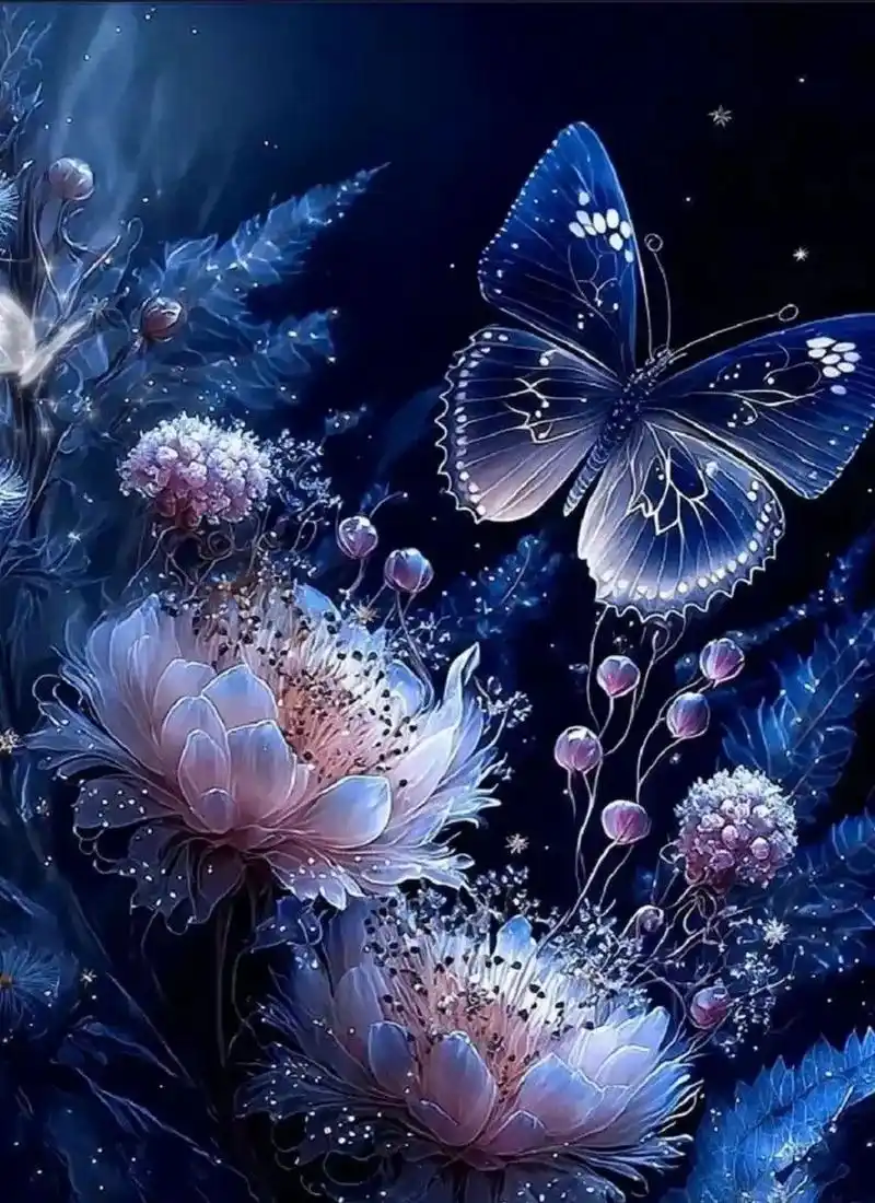 极美之梦幻蝴蝶系列之三