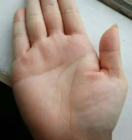 没钱人的手相_手机搜狐网