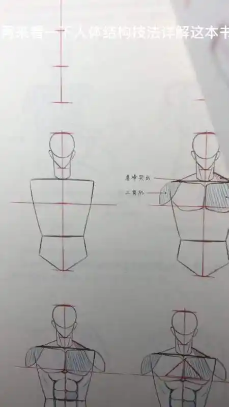 原创动漫绘画教程动漫人物侧身教程