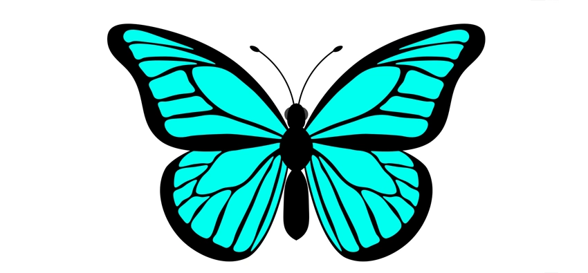 蝴蝶矢量图怎么画(ps中钢笔工具制作蝴蝶矢量插画)