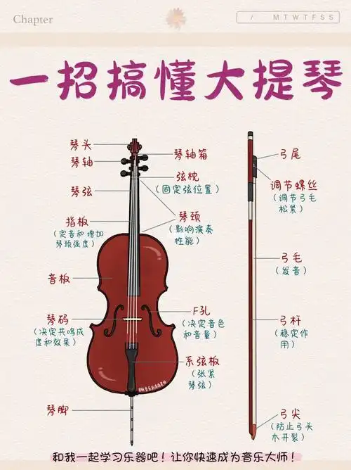 新手学大提琴看不懂把位图快速教你学会