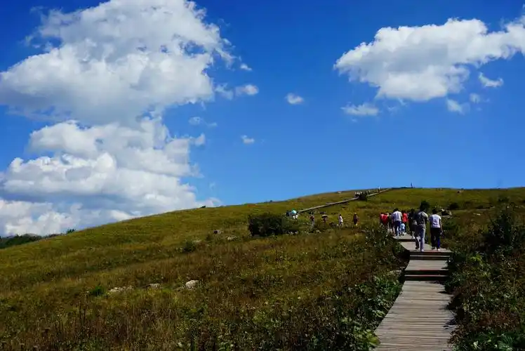 华北最高的亚高山草甸……舜王坪