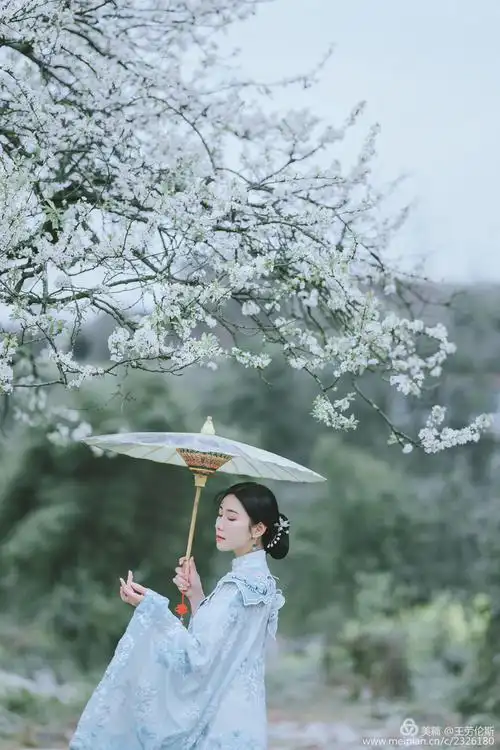 其它 268 下雪了 写美篇  冬季,在深蓝的海里,梅花再一次出落 下雪了