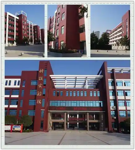 项城市第三高级中学初中部