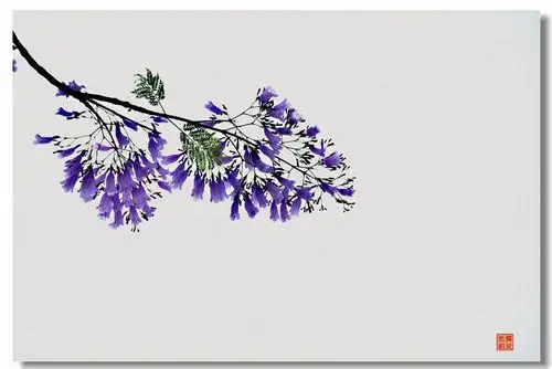 写意蓝花楹