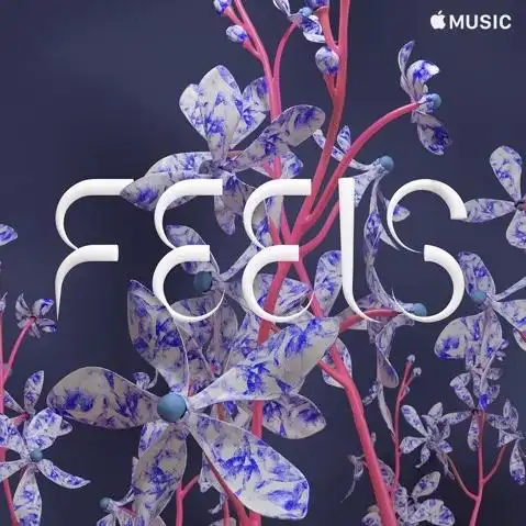 applemusic超赞的歌单封面设计