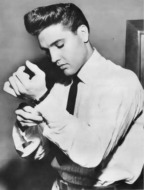 责任,承诺中的图片和信息,均来源于今日头条-溜达鬼《猫王居然也曾