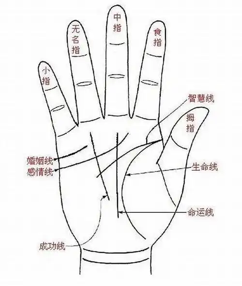 其实女人手相婚姻线怎么看,下面就一起来看看如何看手相的离婚线,希望