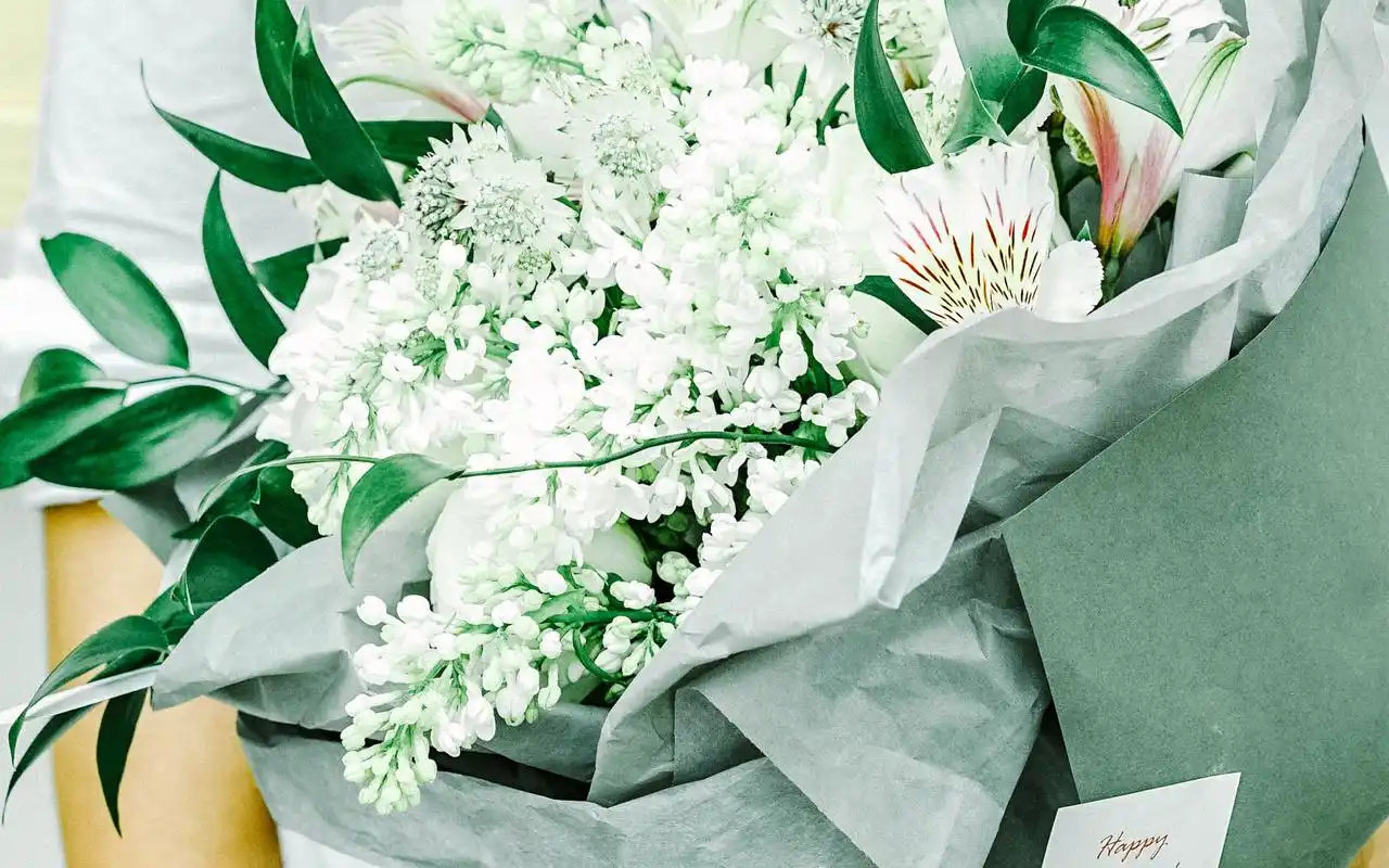 首页 桌面壁纸 文艺小清新绿色护眼唯美意境高清壁纸上一张下一张查看