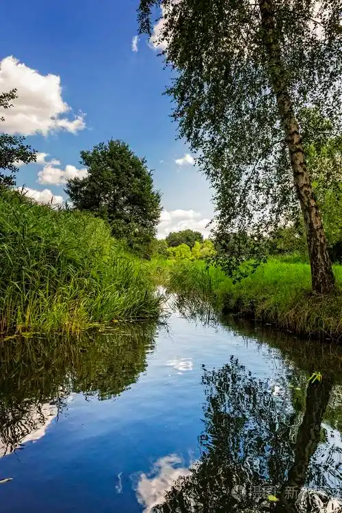 草地上流淌着平静的小河的风景照片