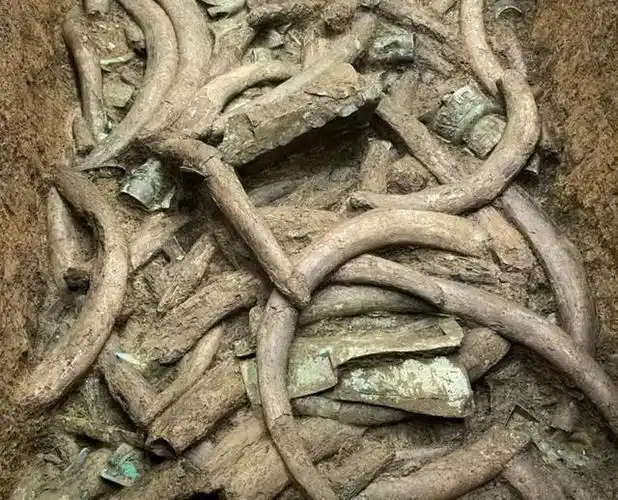 三星堆遗址到底发现了什么,为何是二十世纪最伟大的考古发现?