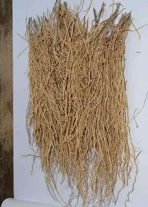 徐长卿-品种详细-药通网