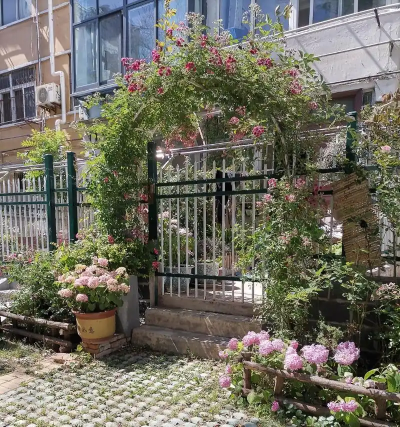 打卡# 看看住一楼的门前小花园,这样打造也是美美哒.