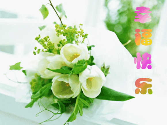 大家早上好鲜花表情包微信早上好祝福语鲜花图片大全