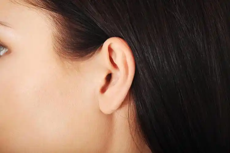 人的耳朵,人类耳朵特写