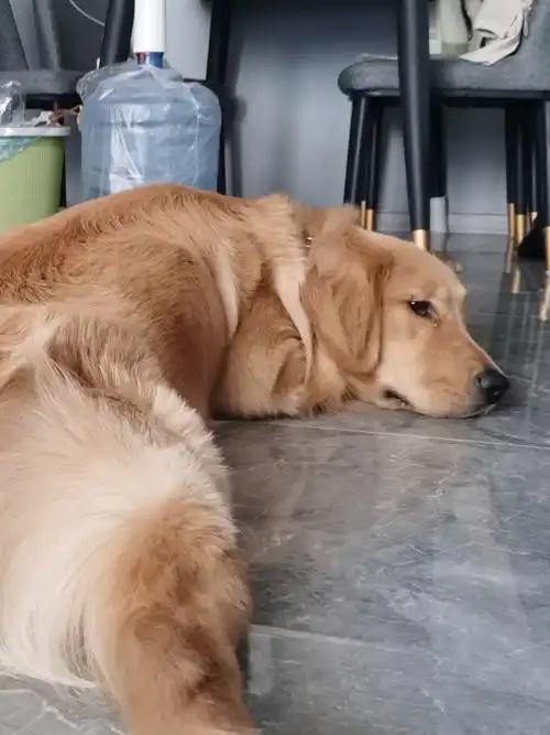 摆烂周一到周日天天没事干