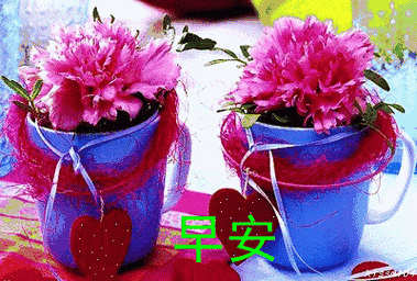 早上好最美的祝福送给你愿你开心快乐每一天