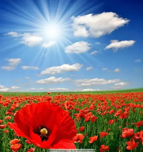 梦见怀孕了,可能是好也可能是坏?