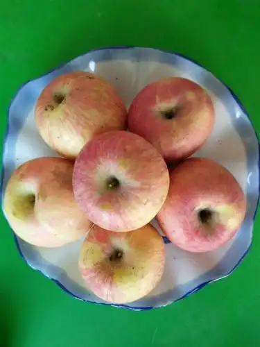 田马幼儿园本周美食