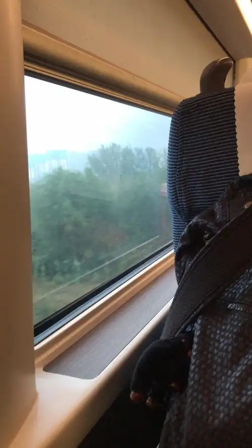 高铁飞驰,窗外的风景像转瞬即逝的日子,眼花缭乱,五彩斑斓,又无从记起