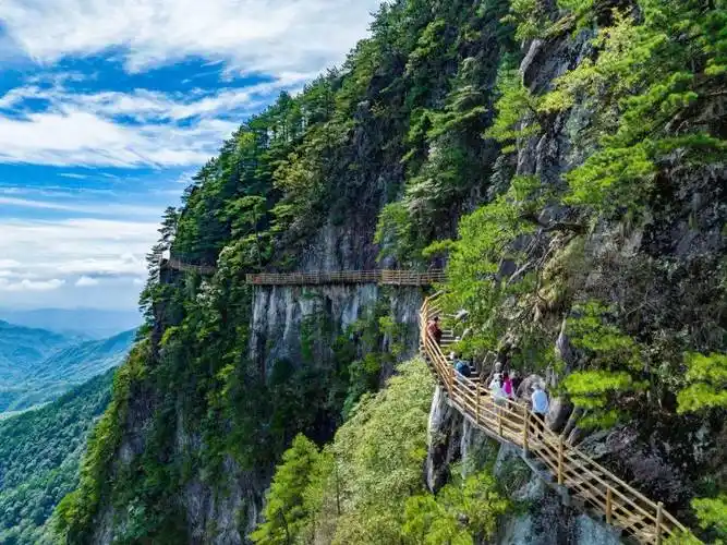 免票持续进行中来明月山赴一场春日约会