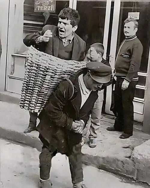 11,精彩的绵羊赛跑.